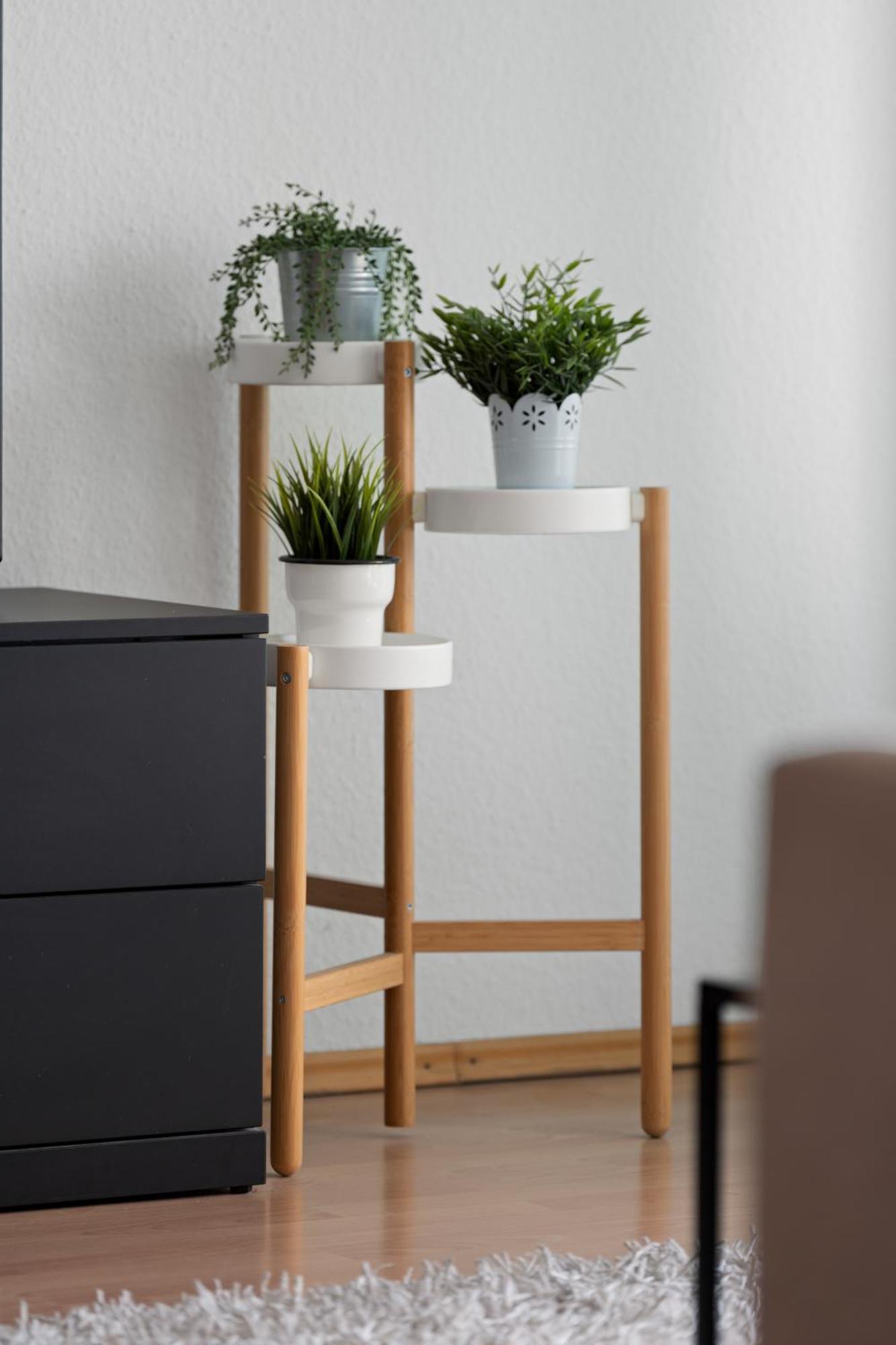 Anytime - Ferienwohnung Rita In FDH Eksteriør bilde
